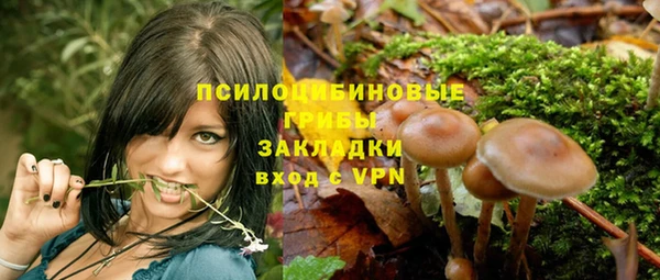 мескалин Алексин