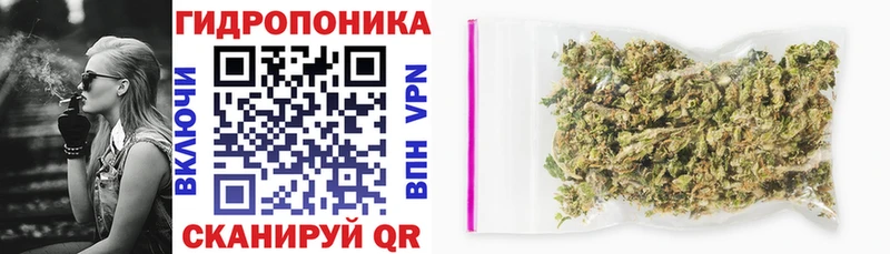 мега как войти  Краснознаменск  Марихуана семена 